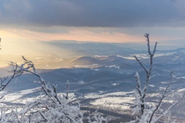 Karlı ağaçlar şaşırtıcı Doğa Manzaralı