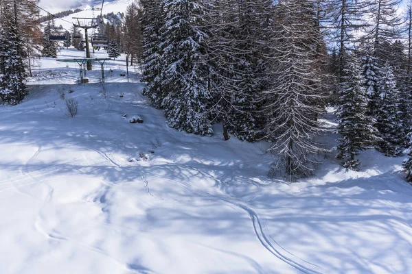 Vue Imprenable Sur Nature Avec Des Arbres Enneigés — Photo