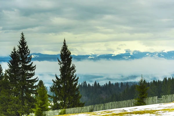 Increíble Vista Montaña Con Árboles Altos — Foto de Stock