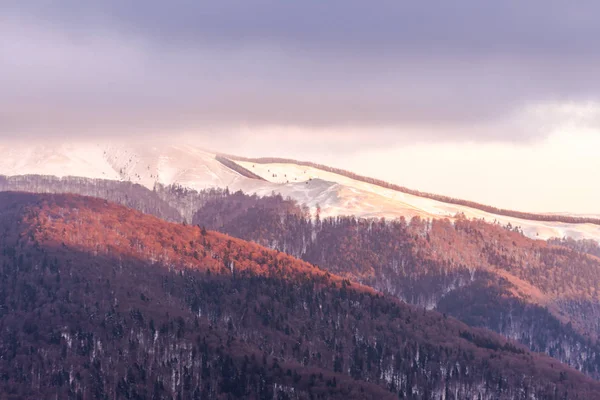 Increíble Vista Naturaleza Con Árboles Nevados — Foto de Stock
