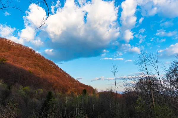 Bulutlu gökyüzü arka plan şaşırtıcı doğa manzaralı