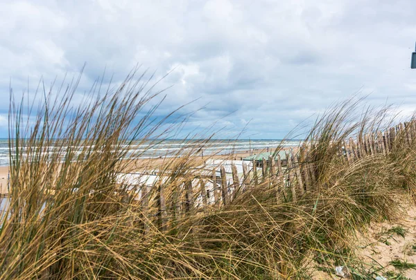 Морская Вода Песчаным Пляжем Деревянным Забором — стоковое фото