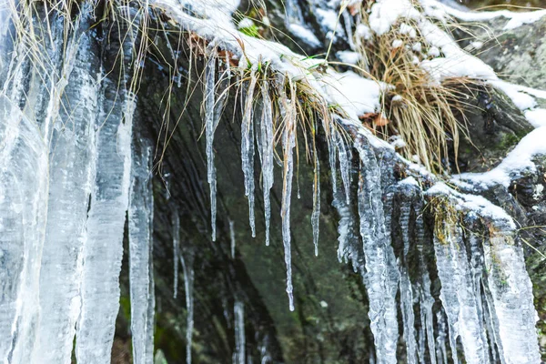 Obrovská Zima Rampouchy Pozadí Přírody — Stock fotografie