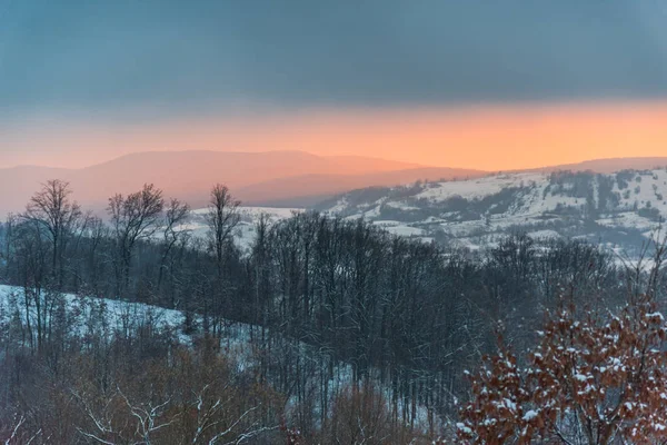 Vue Imprenable Sur Nature Avec Des Arbres Enneigés — Photo