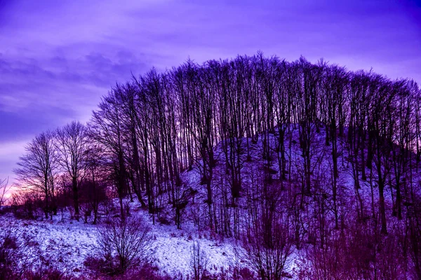 令人惊叹的自然景观与雪树 — 图库照片