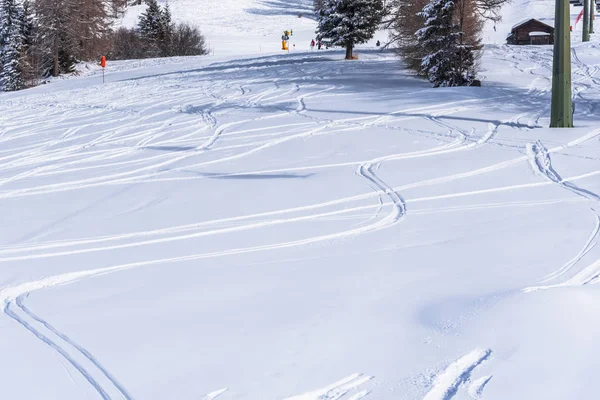 Increíble Vista Naturaleza Con Árboles Nevados —  Fotos de Stock