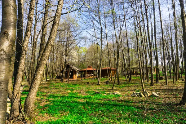 Ağaçlar Ile Güzel Park — Stok fotoğraf