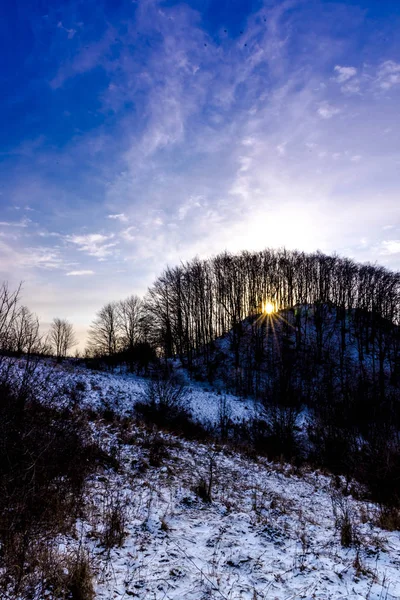 Zonsondergang Bewolkte Hemel Met Kale Bomen — Stockfoto