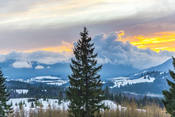 Increíble Vista Naturaleza Con Fondo Cielo Nublado — Foto de Stock