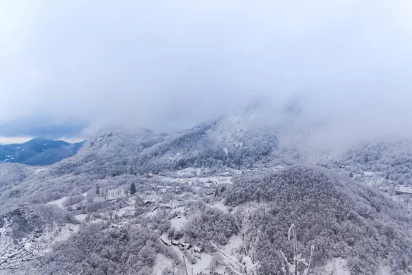 Atemberaubende Aussicht Auf Die Natur Mit Schneebedeckten Bäumen — Stockfoto