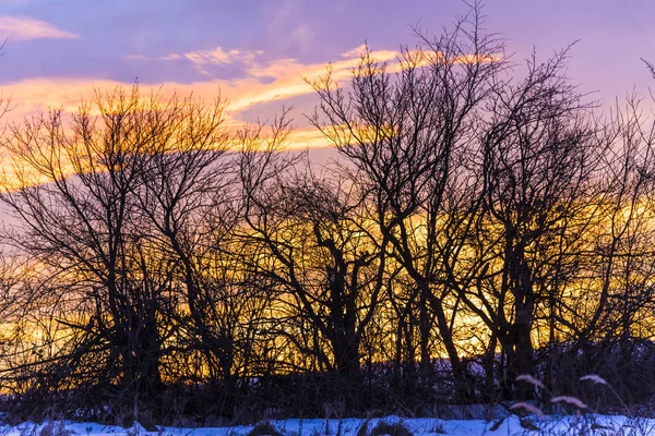 Prachtige Zonsondergang Cloudscape Met Paars Wolken — Stockfoto