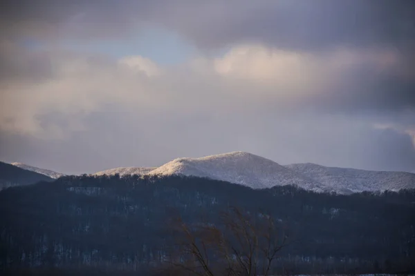 Vue Imprenable Sur Montagne Avec Grands Arbres — Photo