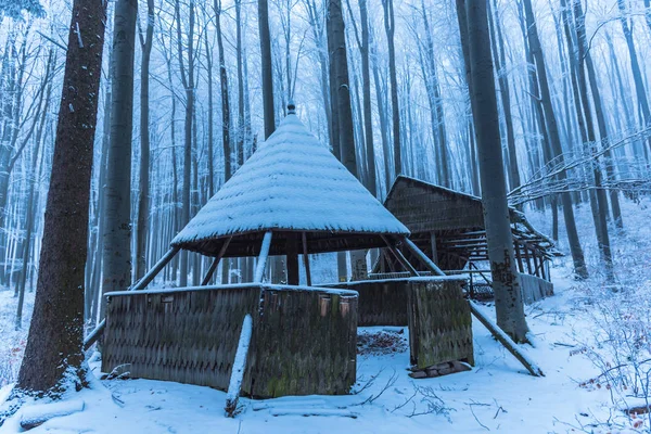 Blauwe Winter Kerstboom Met Sneeuw — Stockfoto