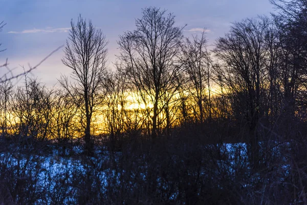 Zonsondergang Bewolkte Hemel Met Kale Bomen — Stockfoto