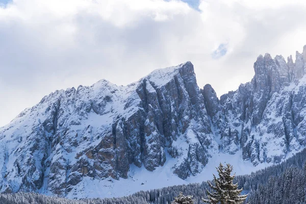 Vista Incrível Natureza Com Árvores Nevadas — Fotografia de Stock