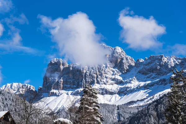 Incredibile Vista Sulla Natura Con Alberi Innevati — Foto Stock