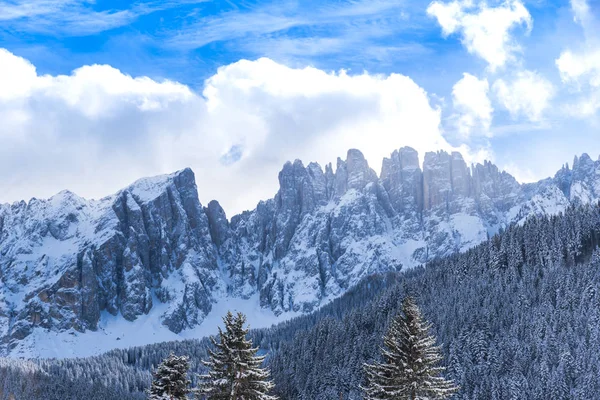 Vista Incrível Natureza Com Árvores Nevadas — Fotografia de Stock