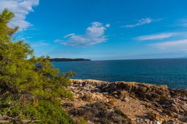 yaz doğa manzaralı 