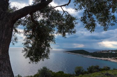 yaz doğa manzaralı 