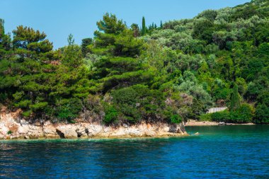 Kıyı alanı görünümünü deniz ve mavi gökyüzü ile gür yeşilliklerle kaplı