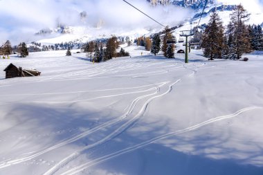 Karlı ağaçlar şaşırtıcı Doğa Manzaralı
