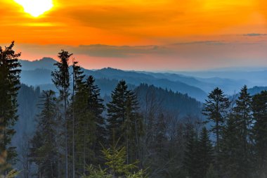 Şaşırtıcı doğa renkli ağaçlar ile