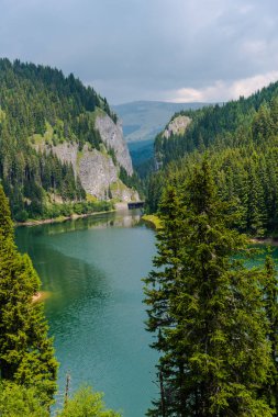 Nehir ve yeşil ağaçlar etrafında Awesome doğa görünümü