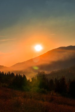 Ağaçlar ve gün batımı arka plan şaşırtıcı Doğa Manzaralı