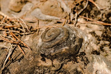 Sıkı dokulu duvar kaydırma ile kafa