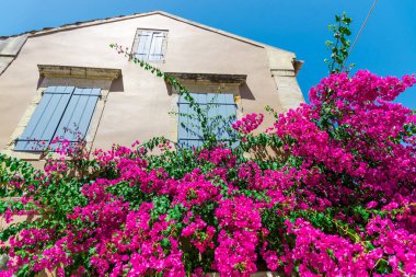 pembe çiçek açan ağaç evi parlak güneş ışığı altında tarafından