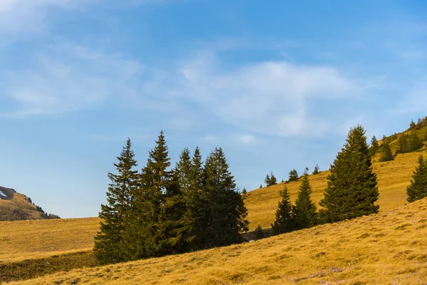 Vue Imprenable Sur Nature Avec Ciel Nuageux — Photo