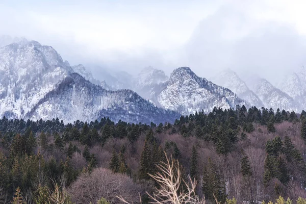 Atemberaubende Aussicht Auf Die Berge Mit Flauschigem Schnee Und Bäumen — Stockfoto