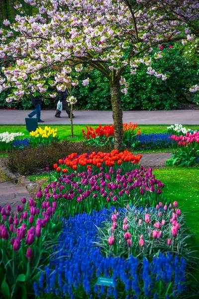 Városi Gyönyörű Tavaszi Park — Stock Fotó