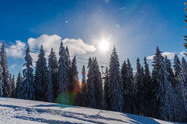Vista Los Árboles Cubiertos Nieve Colina Luz Del Sol Retroiluminada — Foto de Stock