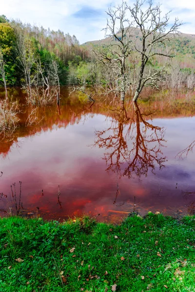 Impresionante Vista Naturaleza Con Río Color Naranja Árboles Verdes Alrededor —  Fotos de Stock