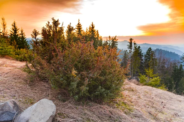 Erstaunliche Natur Mit Bunten Bäumen Ringsum — Stockfoto