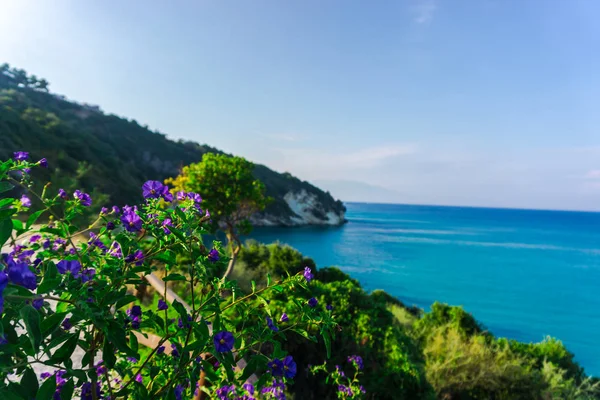 Vista Fascinante Natureza Com Lagoa Azul — Fotografia de Stock