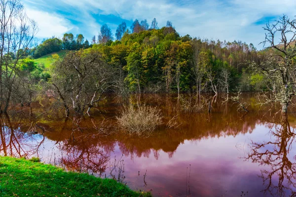 Awesome nature view with red colored river and green trees around