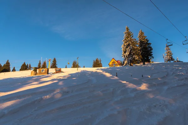 Fantastisk Natur Visa Med Pinjeträd Och Molnig Himmel Bakgrund — Stockfoto