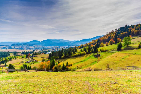 Erstaunliche Natur Mit Bunten Bäumen Ringsum — Stockfoto