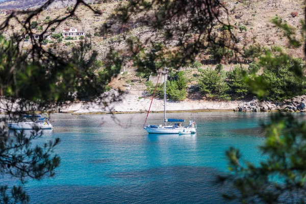 Yaz Doğa Manzaralı — Stok fotoğraf