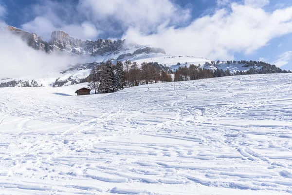 Increíble Vista Naturaleza Con Árboles Nevados —  Fotos de Stock