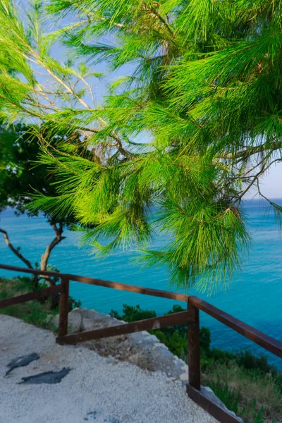 Ora Legale Natura Vista Panoramica — Foto Stock