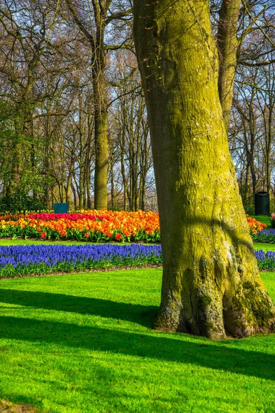 Urban Beautiful Spring Park — Stockfoto