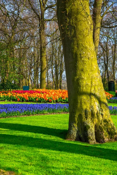 Kentsel Güzel Bahar Parkı — Stok fotoğraf