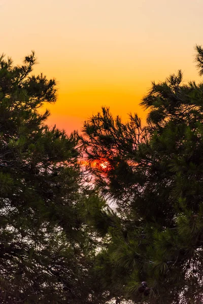 Amazing sunset with warm sea behind the trees