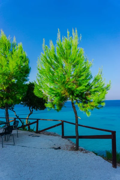 Incredibile Vista Naturale Del Verde Sullo Sfondo Dell Oceano — Foto Stock