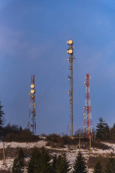 Elektrické Vedení Poli Blízkosti Lesa — Stock fotografie