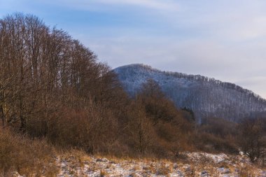 Kabarık kar ve ağaçlarla kaplı inanılmaz dağ manzarası