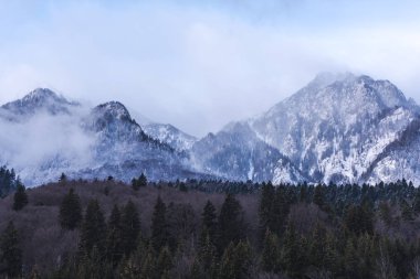 Kabarık kar ve ağaçlarla kaplı inanılmaz dağ manzarası